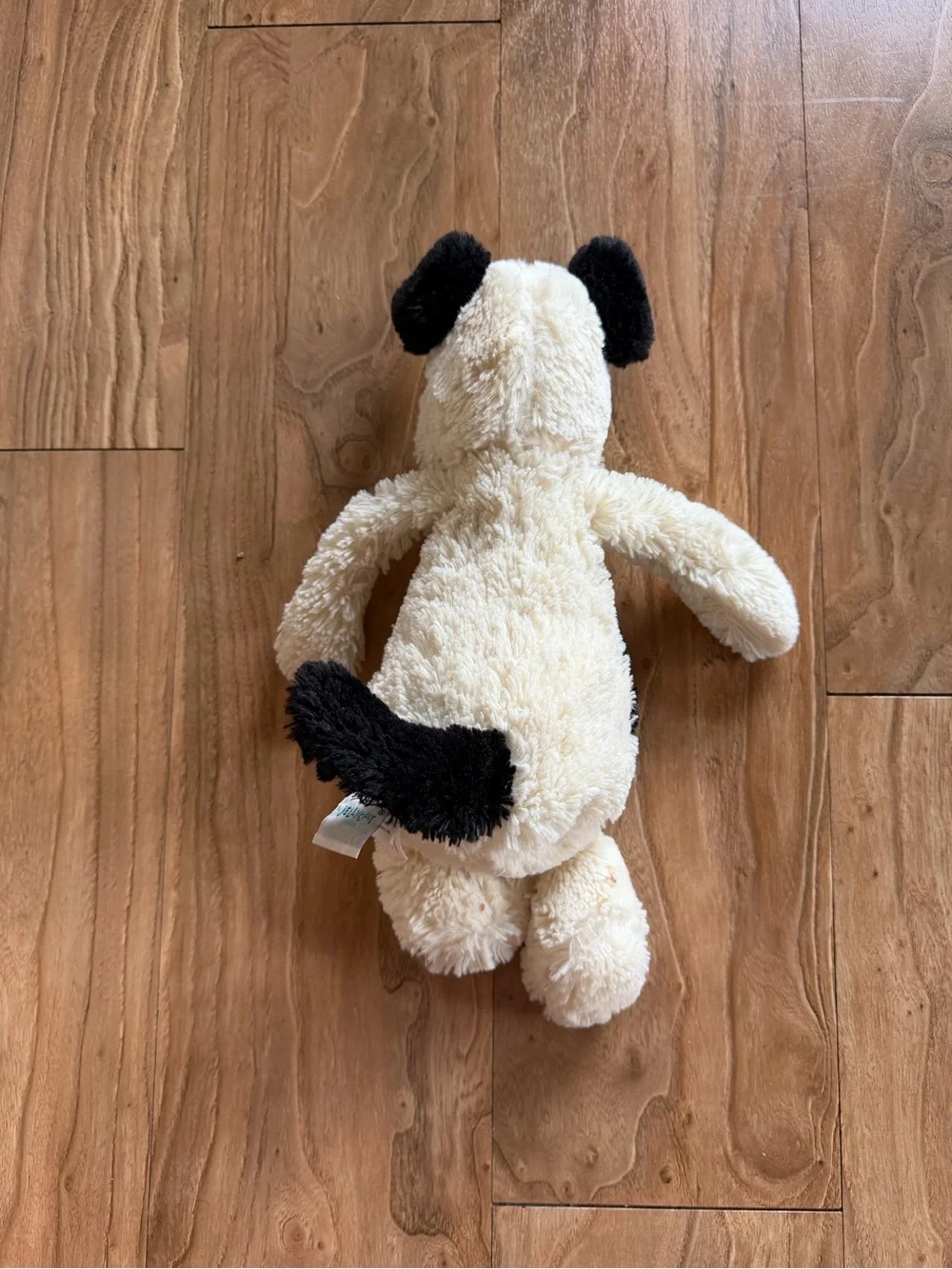 Jellycat bashful dog